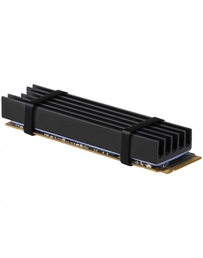 AXAGON CLR-M2L10 passive - M.2 SSD, 80mm SSD,
