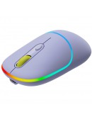 CANYON mouse MW-22 2in1 BT/ Wireless Lavender