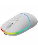 CANYON mouse MW-22 2in1 BT/ Wireless Snow White