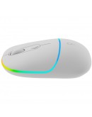 CANYON mouse MW-22 2in1 BT/ Wireless Snow White