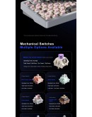 Aula геймърска механична клавиатура Wireless Gaming Mechanical Keyboard NOVA 75 - Star Vector Switch [Linear] (English US), White