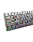 White Shark геймърска механична клавиатура Gaming Mechanical Keyboard NUNCHAKU - Red Switches (English US), Grey