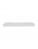 White Shark геймърска клавиатура Gaming Keyboard RONIN - Membrane Switches (English US), White