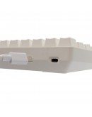 White Shark геймърска механична клавиатура Gaming Mechanical Keyboard SHINOBI 2 - YUSYA 5P Blue Switches (English US), White