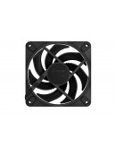 FD MOMENTUM 12 BLACK