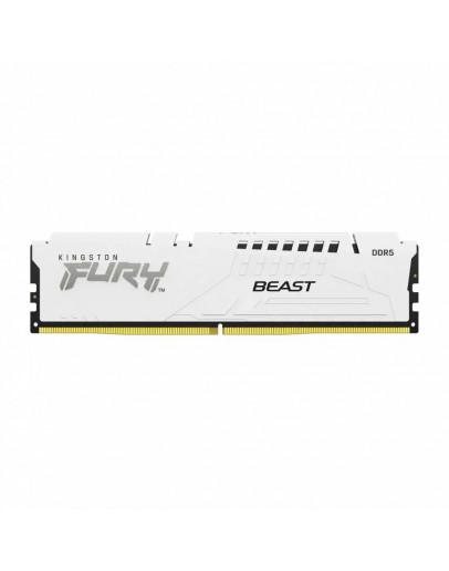 2X16G DDR5 6000 KING EXPO WH