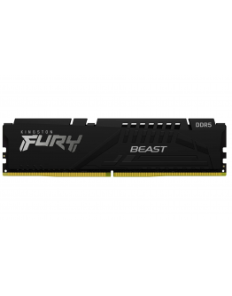 32G DDR5 6000 KING EXPO