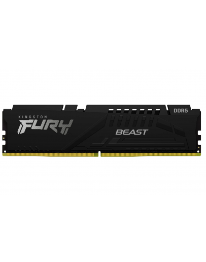 32G DDR5 6000 KING EXPO