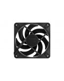 FD MOMENTUM 12 BLACK
