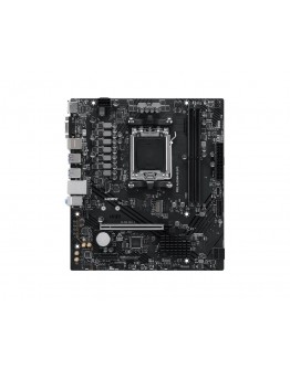 MSI PRO A620AM-B EVO