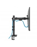 Neomounts Nero Double Flat Screen Desk Mount (phon