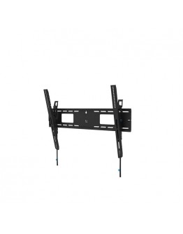 Neomounts Level-750 Wall Mount (XL, 100 kg, tiltab
