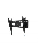 Neomounts Level-750 Wall Mount (XL, 125 kg, tiltab
