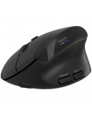 CANYON mouse MW-25 Ergonomic LED AA Dual mode