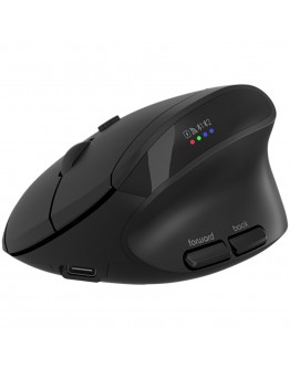 CANYON mouse MW-25 Ergonomic LED AA Dual mode