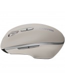 CANYON mouse MW-21 BlueLED 7buttons Wireless