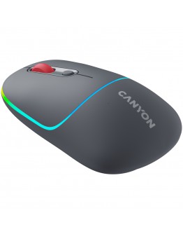 CANYON mouse MW-22 2in1 BT/ Wireless Dark