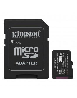 256G SDMIC KINGS CANVAS SEL+A1