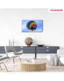 Монитор THOMSON 32QG4S14 TV 32