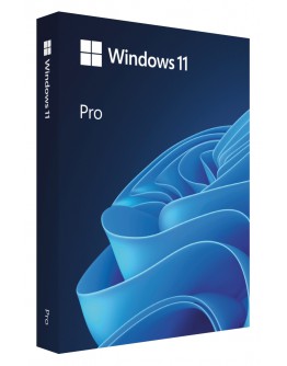 Microsoft Windows Pro 11 64-bit Eng Intl USB RS
