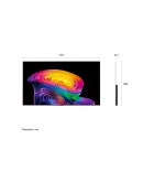 Телевизор LG OLED77C61LA