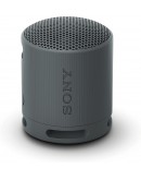 Sony SRS-XB100 Portable Bluetooth Speaker