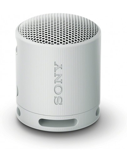 Sony SRS-XB100 Portable Bluetooth Speaker
