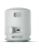 Sony SRS-XB100 Portable Bluetooth Speaker
