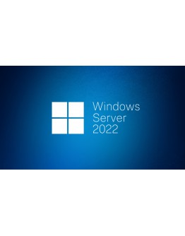 Windows Server CAL 2022 English 1pk DSP OEI 1 Clt 
