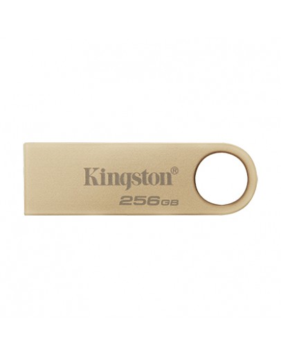256G USB3.2 DTSE9G3 KINGSTON