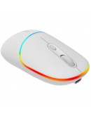 CANYON mouse MW-22 2in1 BT/ Wireless Snow