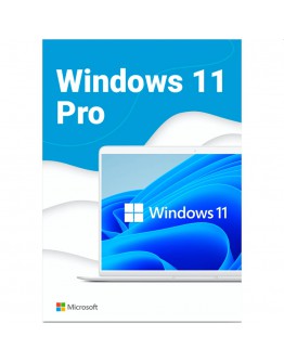 Microsoft Windows Pro 11 64-bit Eng Intl USB RS