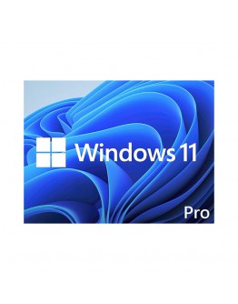 WIN 11 PRO 64BIT ENG DSP DVD