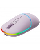 CANYON mouse MW-22 2in1 BT/ Wireless Pearl