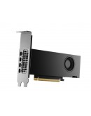 PNY Nvidia RTX 2000 16GB GDDR6 ADA Gen. LP