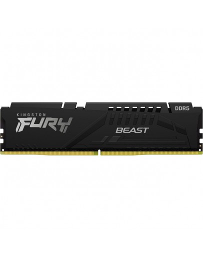 8G DDR5 5600 KINGST EXPO BEAST