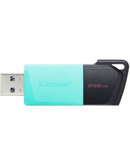 Kingston 256GB USB3.2 Gen1 DataTraveler Exodia M