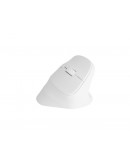 Natec Vertical Mouse Crake 2 Wireless, 2400DPI Blu