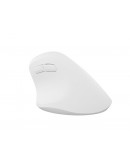 Natec Vertical Mouse Crake 2 Wireless, 2400DPI Blu