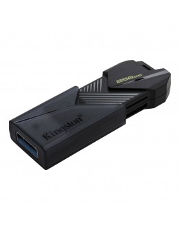 256GB 3.2 KINGSTON / DTXON