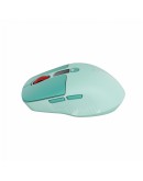 CANYON mouse MW-26 LCD Silent Dual Mode Wireless