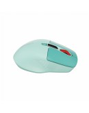 CANYON mouse MW-26 LCD Silent Dual Mode Wireless