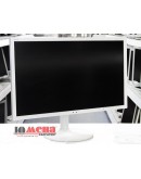 NEC EX231W
