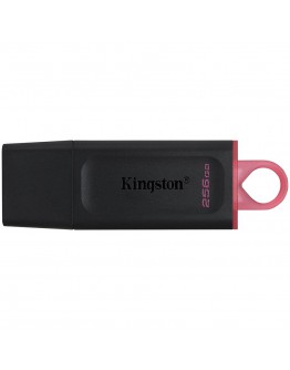 Kingston 256GB USB3.2 Gen1 DataTraveler Exodia